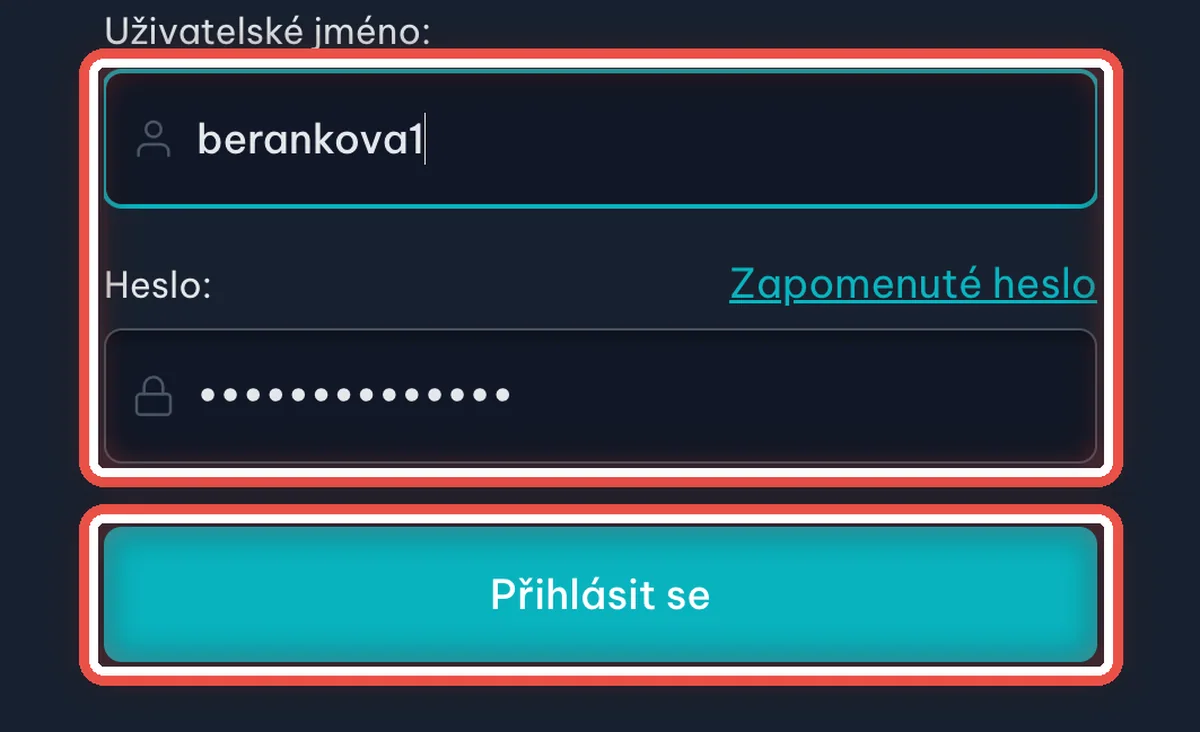 Detail — Takhle se pacient přihlásí