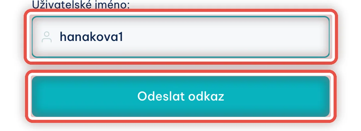 Detail — Zadejte uživatelské jméno