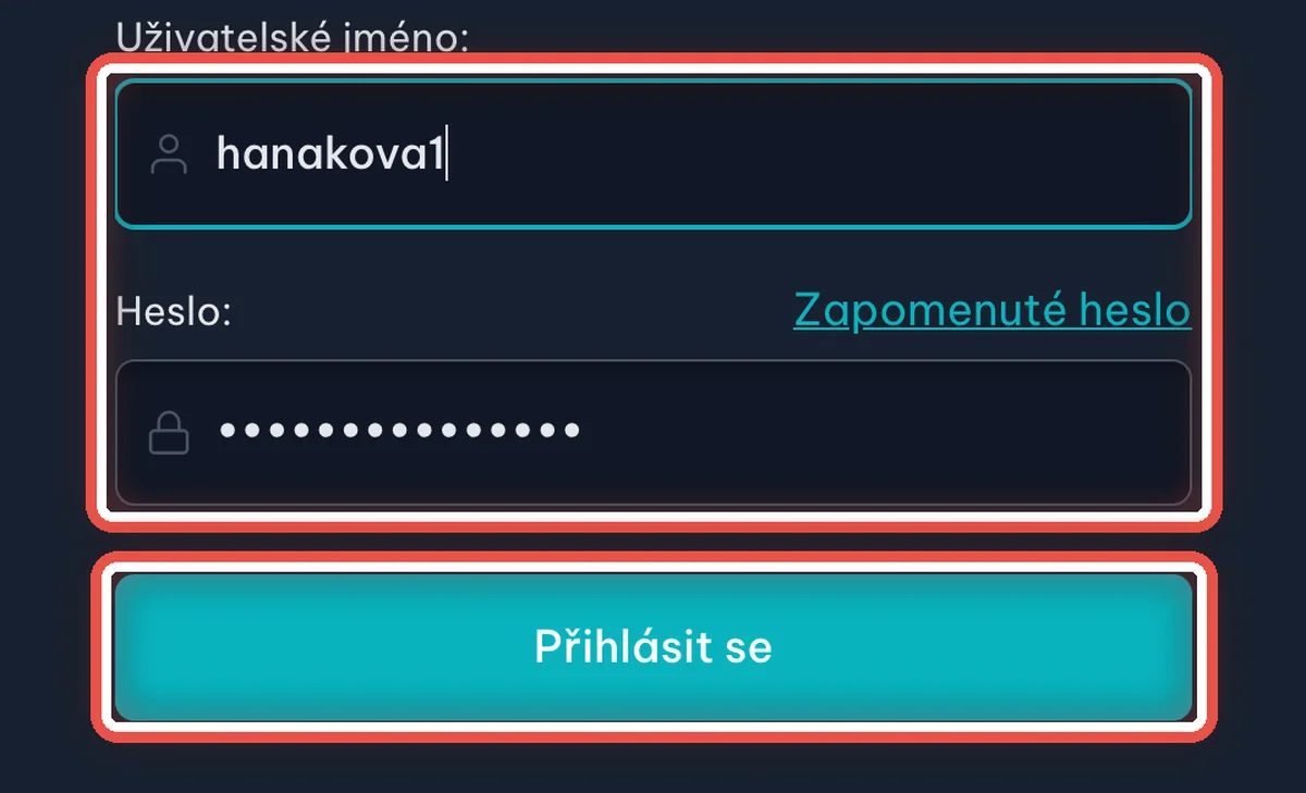 Detail — Příště se hlásíte jménem a heslem