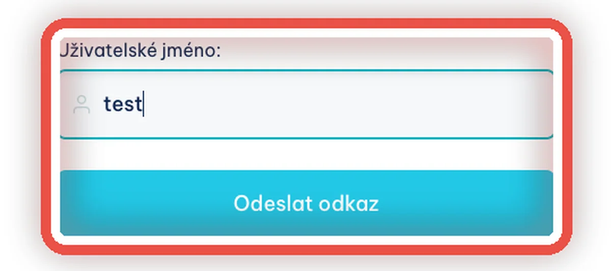 Detail — Zapomenuté heslo: napište své jméno