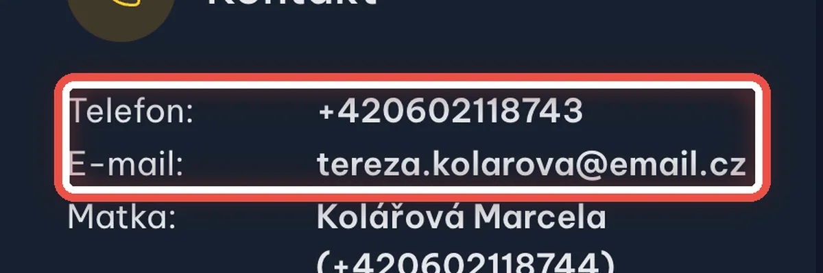 Detail — Zkontrolujte e-mail a telefon pacienta