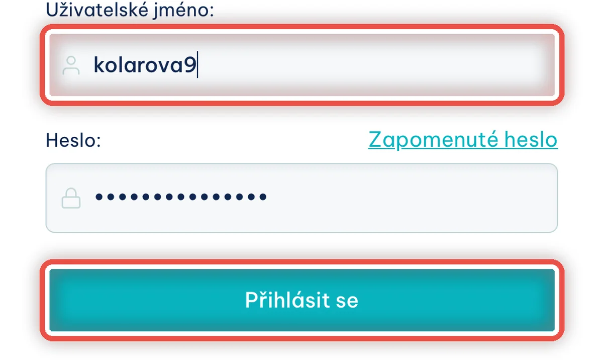 Detail — Příště se pacient přihlašuje takto