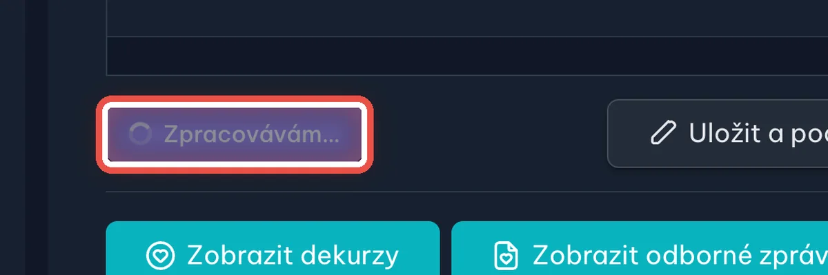 Detail — Program převádí nahrávku na text