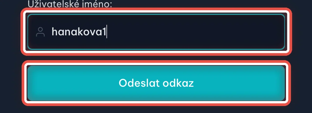 Detail — Zadejte uživatelské jméno