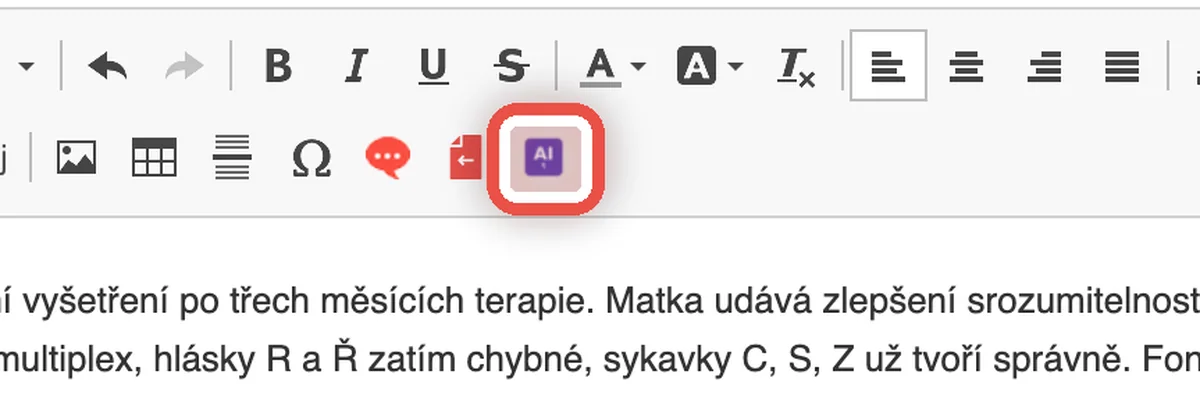 Detail — Spusťte AI formátování textu
