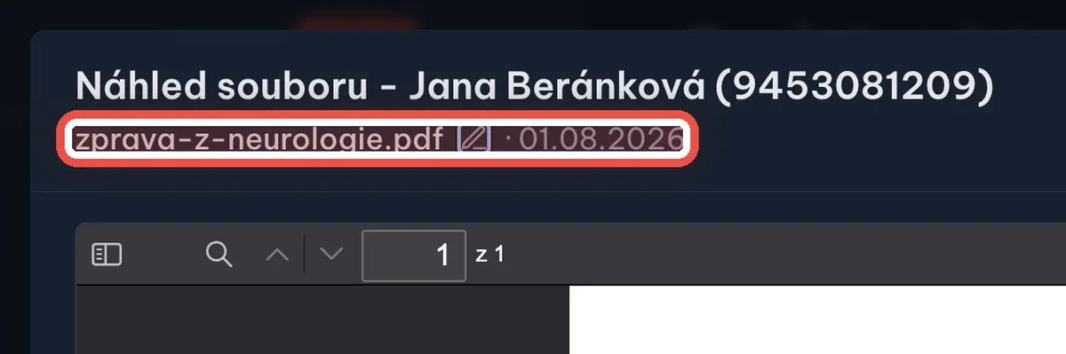 Detail — Přejmenování a zavření náhledu