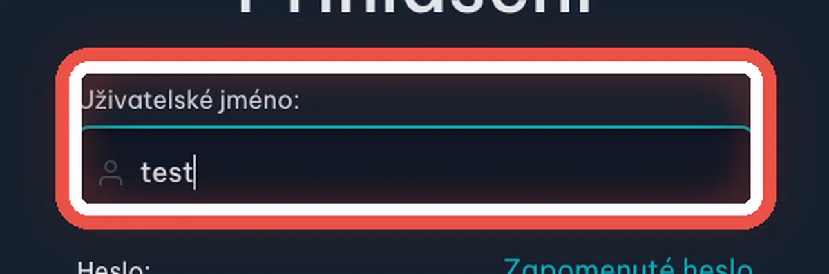 Detail — Vyplňte uživatelské jméno